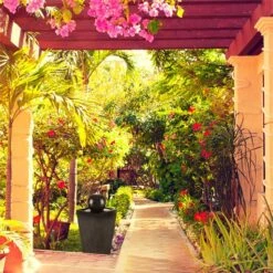 Königsbrunn Springbrunnen Solar 200 L/h LED Akku Basaltoptik 11 Königsbrunn Springbrunnen Solar 200 L/h LED Akku Basaltoptik -Haushaltsgerätegeschäft 10029040 yy 0004 ambient Blumfeldt Koenigsbrunn Solar Springbrunnen reedit