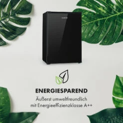 Delaware Kühlschrank 75 Liter 4-Liter-Gefrierfach Kompression 13 Delaware Kühlschrank 75 Liter 4-Liter-Gefrierfach Kompression -Haushaltsgerätegeschäft 10034554 de 0003 logo