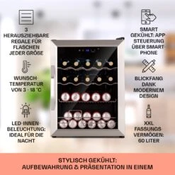 Coachella 60 Kühlschrank 60 Liter WiFi-Funktion Hintergrundbeleuchtung -Haushaltsgerätegeschäft 10034821 de 0002 usp