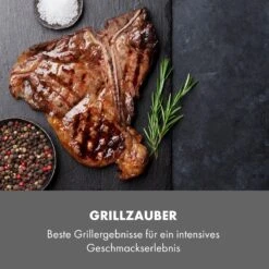 Steakreaktor Core Indoor Grillgerät Hochtemperaturgrill 2100W 800°C -Haushaltsgerätegeschäft 10035085 de 0007 logo