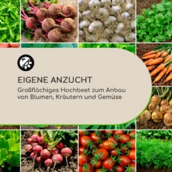 High Grow Straight Hochbeet 120x60x60cm 432l Stahl 13 High Grow Straight Hochbeet 120x60x60cm 432l Stahl -Haushaltsgerätegeschäft 10035335 de 0004 logo