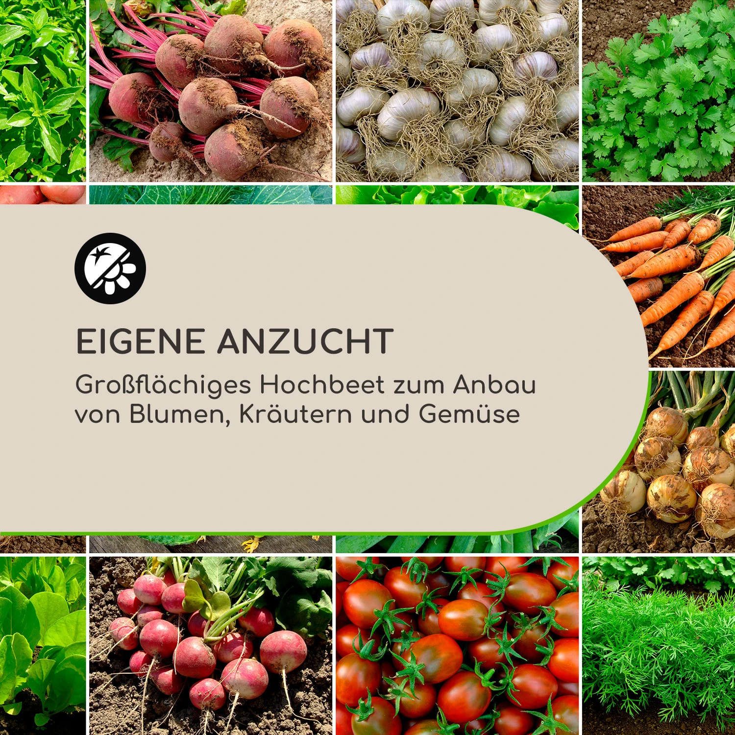 High Grow Straight Hochbeet 120x60x60cm 432l Stahl 6 High Grow Straight Hochbeet 120x60x60cm 432l Stahl – Bild 4