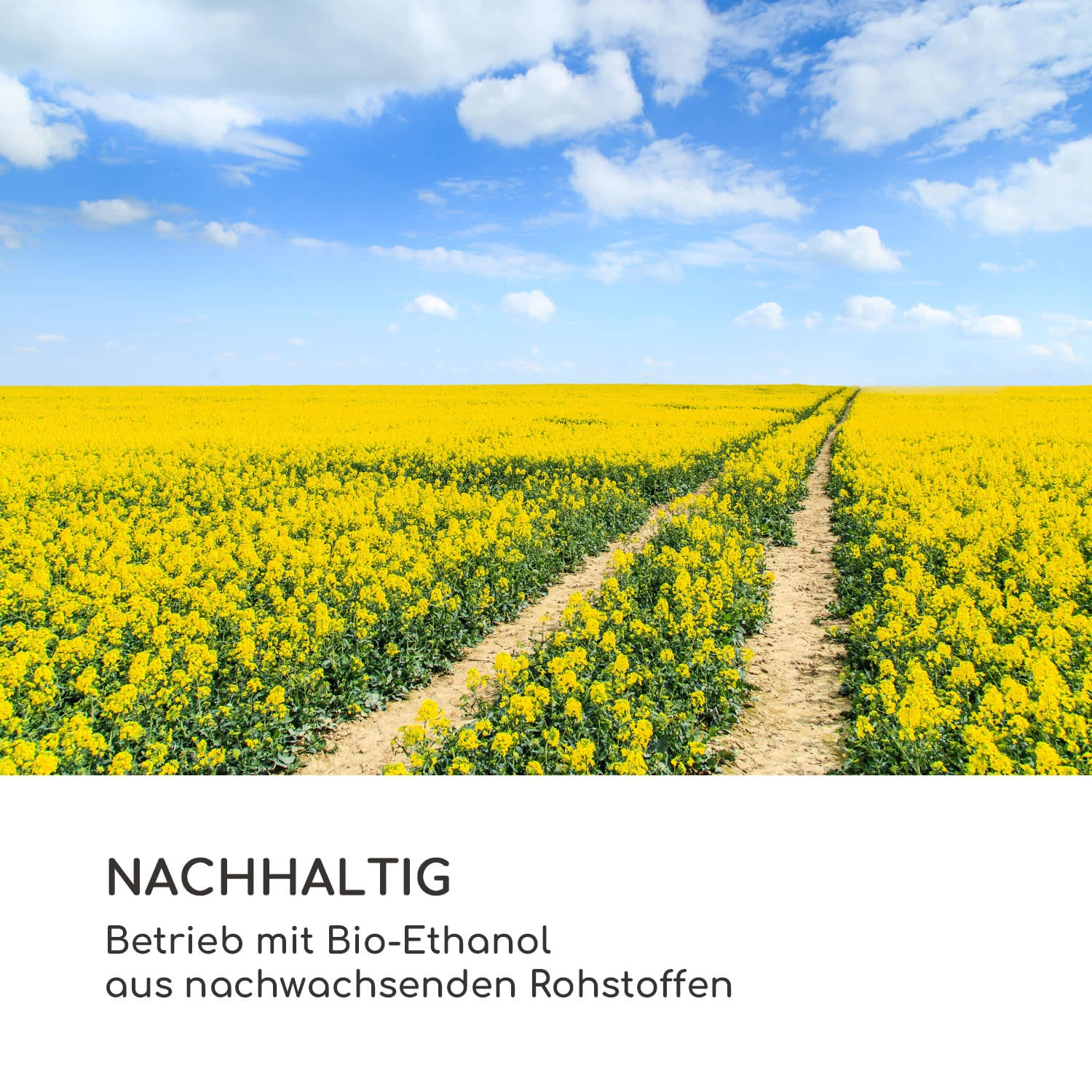 Fiamme Circulo Ethanol-Kamin Edelstahl-Brenner 1,2 Liter 4-5 H Brenndauer 11 Fiamme Circulo Ethanol-Kamin Edelstahl-Brenner 1,2 Liter 4-5 H Brenndauer – Bild 9