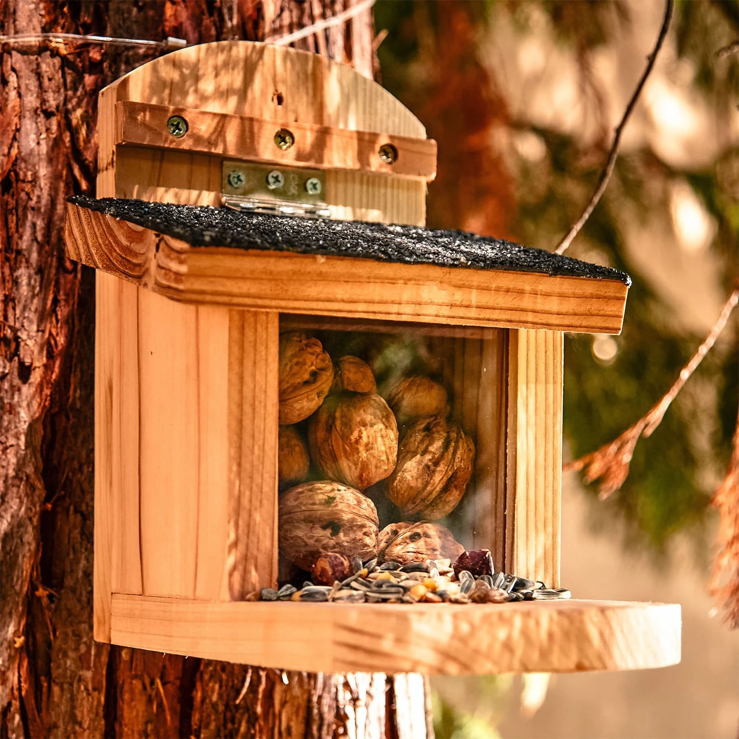 Futterhaus Für Eichhörnchen Flachdach Zedernholz Bitumen Unbehandelt 7 Futterhaus Für Eichhörnchen Flachdach Zedernholz Bitumen Unbehandelt – Bild 5