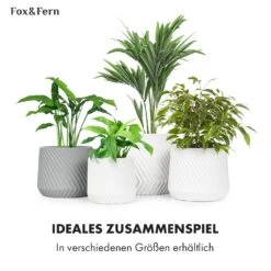 Heusden Blumentopf Polystone Pflanzenfreundlich Handgemacht -Haushaltsgerätegeschäft 10038486 de 0006 usp