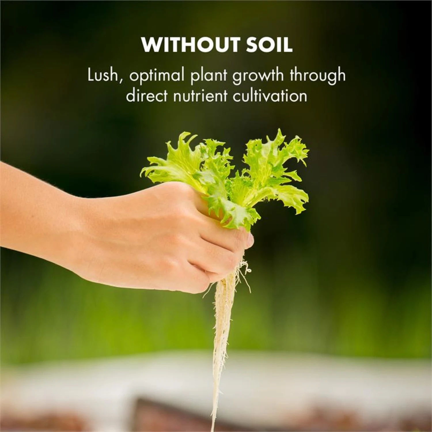 GrowIt Cuisine Starter Kit Asia 12 Pflanzen 25W LED 2Ltr Asia-Seeds Nährlösung 9 GrowIt Cuisine Starter Kit Asia 12 Pflanzen 25W LED 2Ltr Asia-Seeds Nährlösung – Bild 7