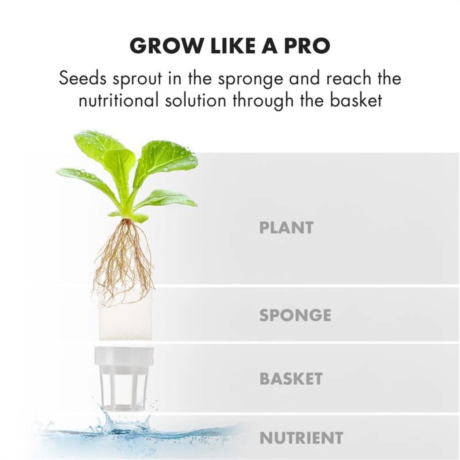 GrowIt Cuisine Starter Kit Asia 12 Pflanzen 25W LED 2Ltr Asia-Seeds Nährlösung 10 GrowIt Cuisine Starter Kit Asia 12 Pflanzen 25W LED 2Ltr Asia-Seeds Nährlösung – Bild 8